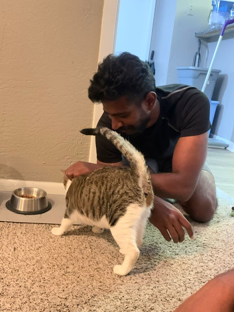 Introducing Nila